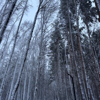 Ольга Реклама