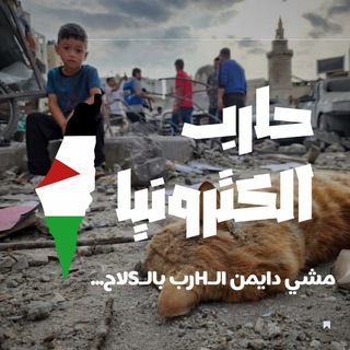 مجموعة السينيال