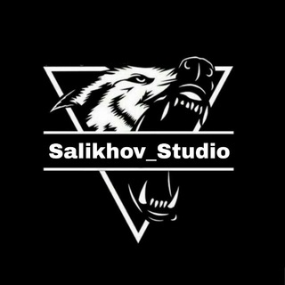 Salikhov Studio Group