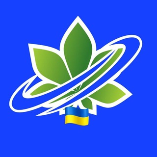 Manager KyivLink