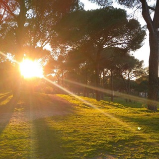 Shine