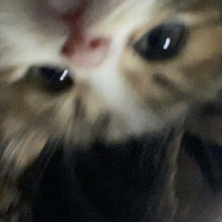 ㅤ^^