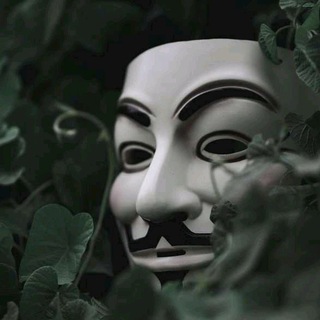 *FREE BUNDLE & VPN*