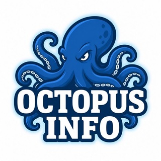 Octopus Info - Brasil