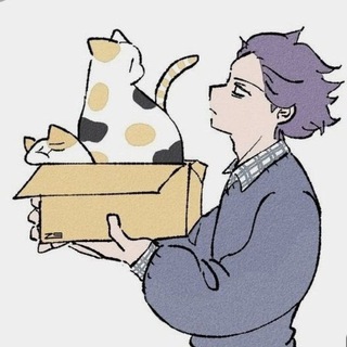 Backstage..📦🐈✨