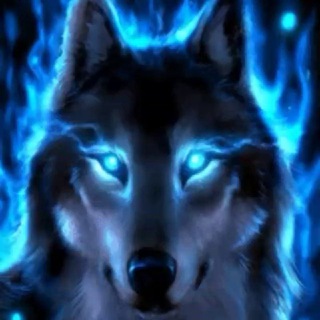 Desktop_Telegram️