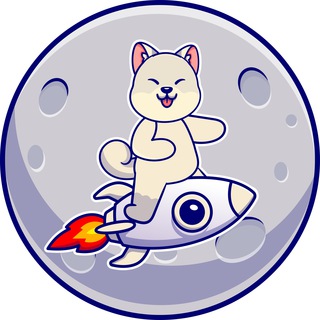 Kishu Mars Inu - KYC DONE