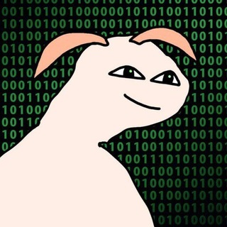 Spam FREE