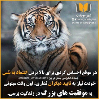 رضا