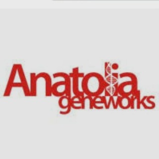 Anatolia Tanı Hisse