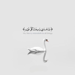 S.sajjad