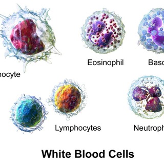 Gvs ....