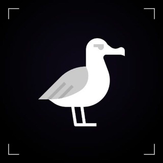 Albatross - Privacy Protocol