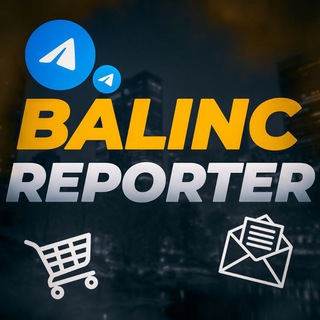 Balinc Report