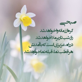 سفیر