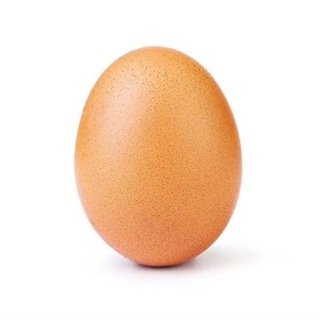 🥚We Are Egg Family 🥚
