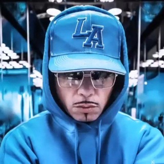 Dj Aligator | EDM