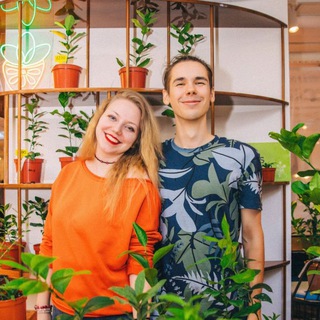 Алло, ЛЕМОС?