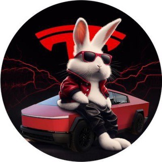 Rab in the Tesla world |Portal