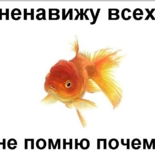 орешки