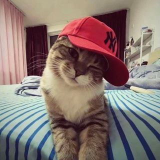 М