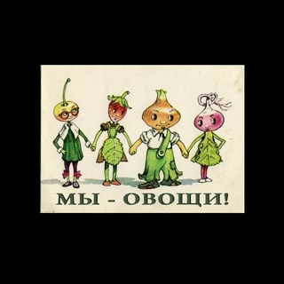 Интересные факты об овощах