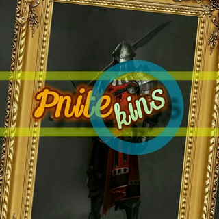 PN CAMPAIGN KINS