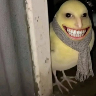 moyapechen