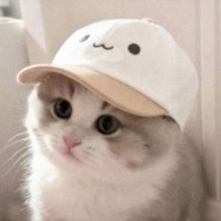 𝐖𝐢𝐧𝐁𝐨𝐱 💦