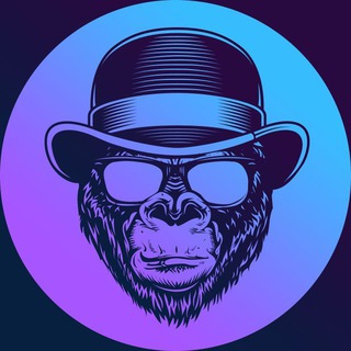 WizeMonkeyz