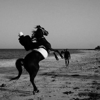 SaLeh Al Sheikh