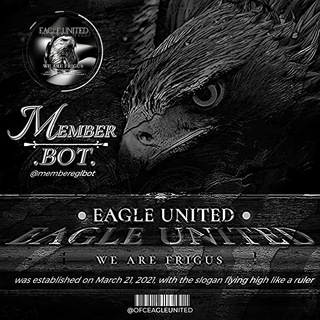 BOT MEMBER