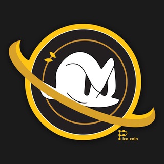 Pico Coin English