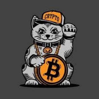 Shill Crypto Waves🌊