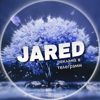 Jared Manager