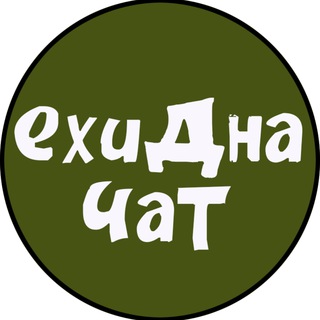 Ехидна чат
