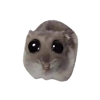 (not)Sad Hamster