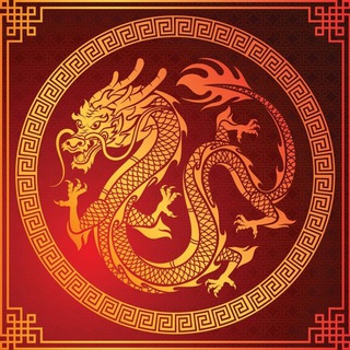 DRAGON 中国龙 🐉 🇨🇳