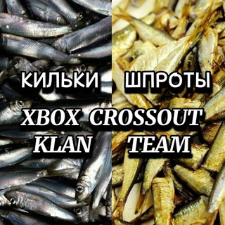 КИЛЬКИ ШПРОТЫ ЧАТ