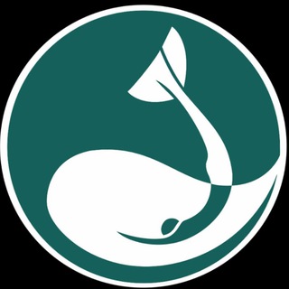 Waterspace freediving