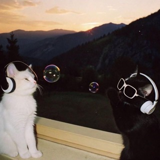 dismaying playlist