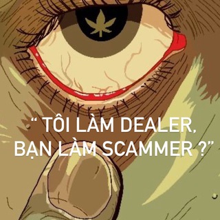 NEWS - SCAMMER FROM CANNATRIBES