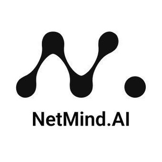 NetMind Group