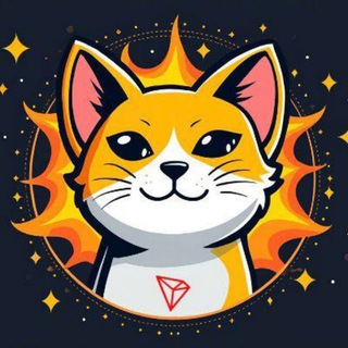 SUNCAT CTO