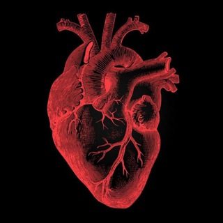 EKG Darslari kursi