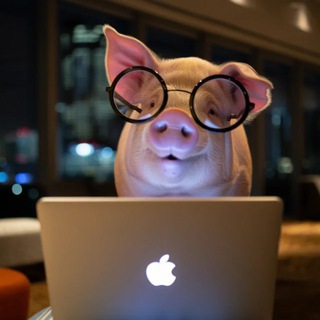 🐷