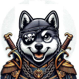 IronDoge Official