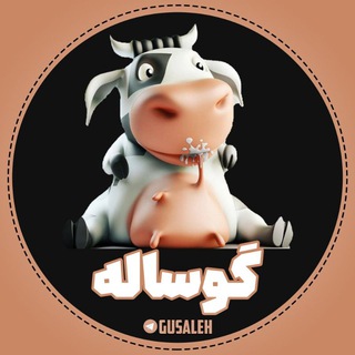 گوساله