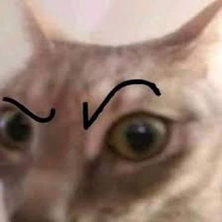 Предложка Prfrv