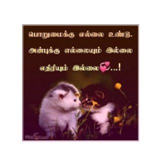 TN🤍அன்பு❤️தமிழன்